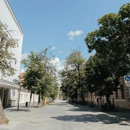 Apartment Contessa Ii